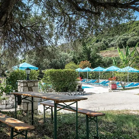 Anemona 5