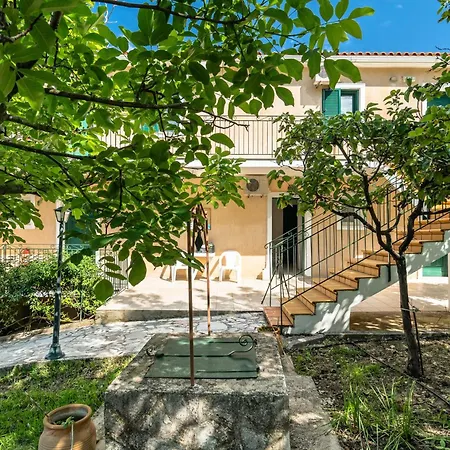 Anemona E Kateleios
